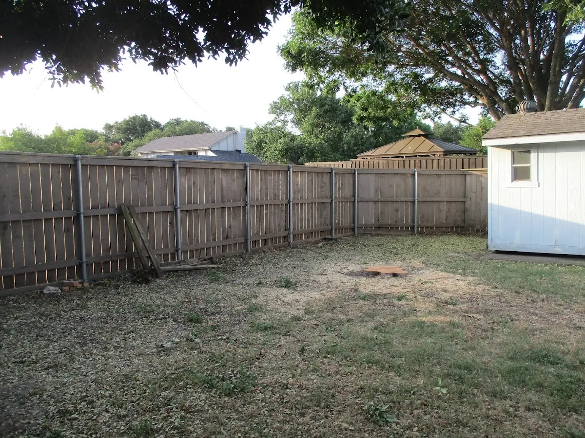 Cleared yard after professional tree removal in Elkhart